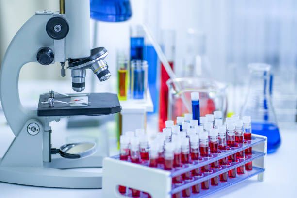 Lab Image 2