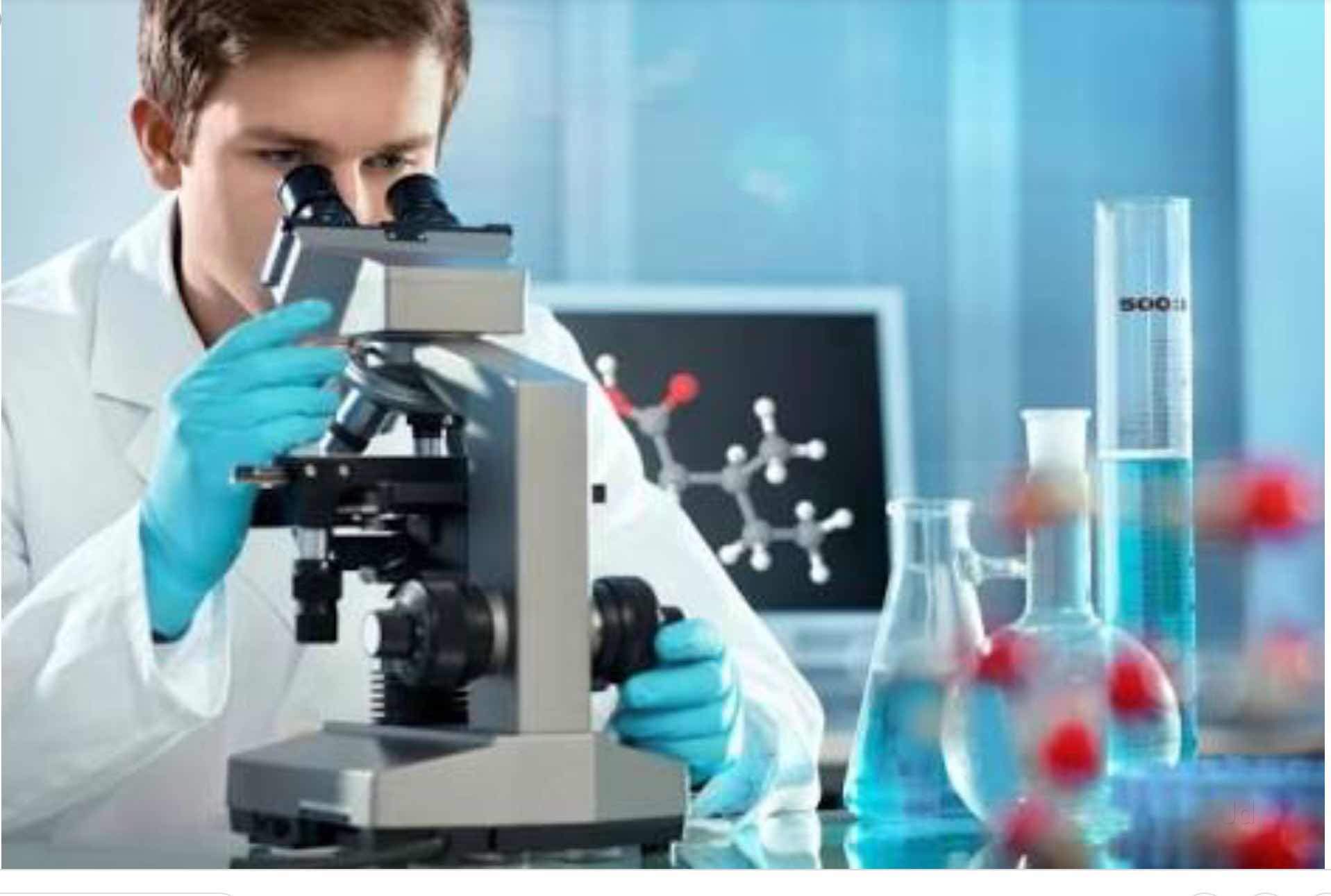 Lab Image 3