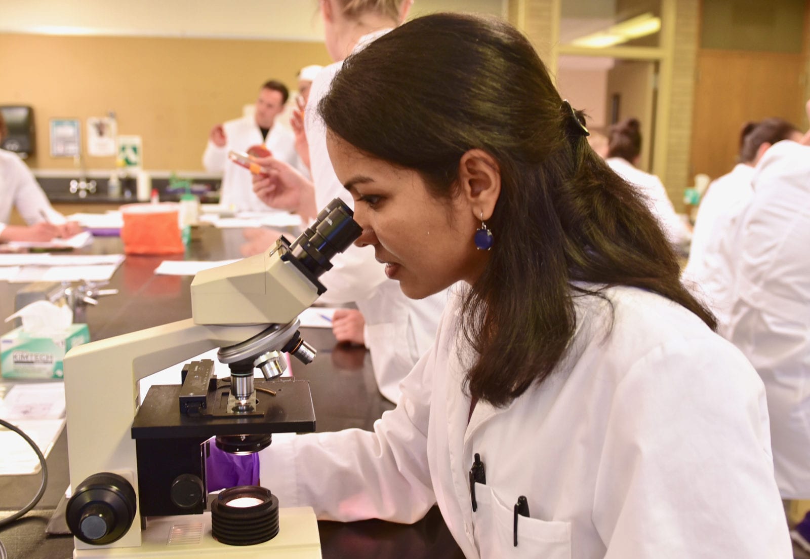 Lab Image 2