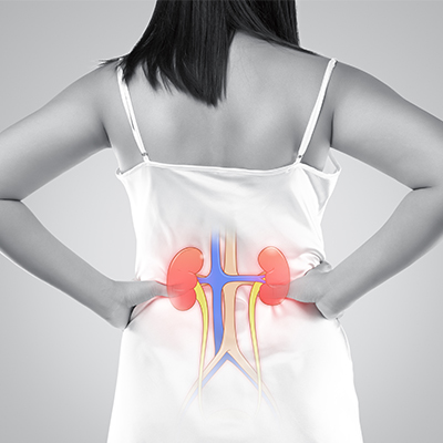 Kidney & Renal